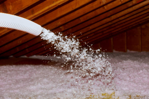 Best Insulation Installation Services in Bellwood, PA